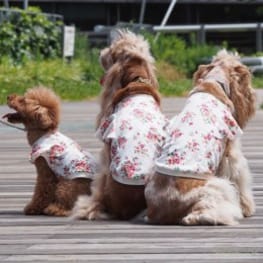 バックオープンベスト / 愛犬のための犬服、ペット服の型紙通販