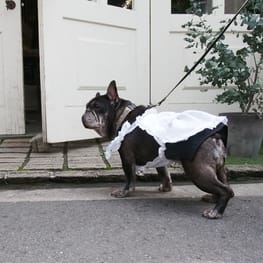 エプロンスカート / 愛犬のための犬服、ペット服の型紙通販・作り方