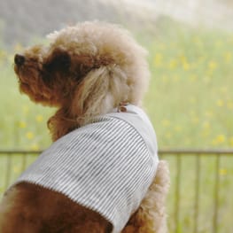 手縫いで作る切り替えタンクトップ / 愛犬のための犬服、ペット服の型紙通販・作り方・教室 milla milla