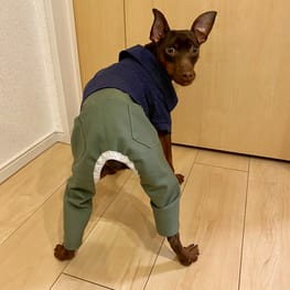 パンツ/サロペット/millacra / 愛犬のための犬服、ペット服の型紙通販