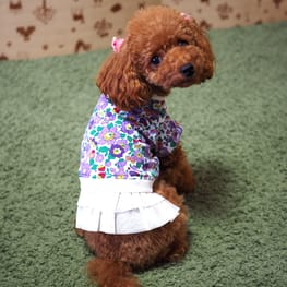 犬服のハンドメイド作品 - みんなのかわいい手作り犬服