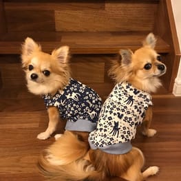 バックオープンベスト/millacra / 愛犬のための犬服、ペット服の型紙