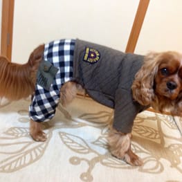 カバーオール(つなぎ)/millacra / 愛犬のための犬服、ペット服の型紙