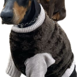 無料タンクトップ/millacra / 愛犬のための犬服、ペット服の型紙