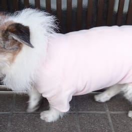Tシャツ Millacra 愛犬のための犬服 ペット服の型紙通販 作り方 教室 Milla Milla