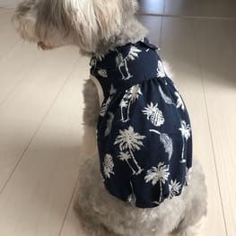 バルーンブラウス/millacra / 愛犬のための犬服、ペット服の型紙通販