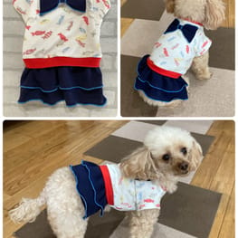 リボンワンピース/millacra / 愛犬のための犬服、ペット服の型紙通販