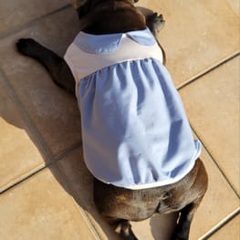 犬服のハンドメイド作品 - みんなのかわいい手作り犬服