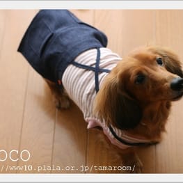 tamaさんのドッグスリング作品 / 愛犬のための犬服、ペット服の型紙