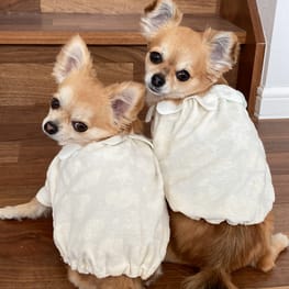 犬服のハンドメイド作品-みんなのかわいい手作り犬服 / 愛犬のための犬