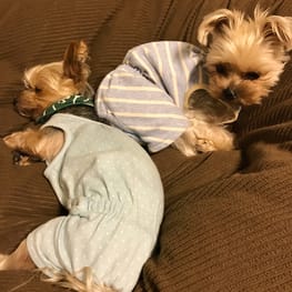 リラックスジャンプスーツ / 愛犬のための犬服、ペット服の型紙通販