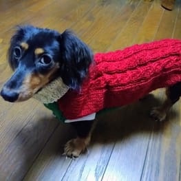 タンクトップ/millacra / 愛犬のための犬服、ペット服の型紙通販