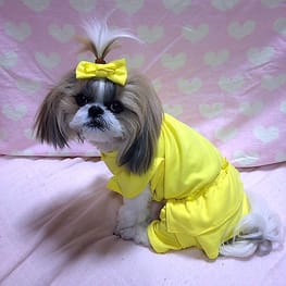 リラックスジャンプスーツ / 愛犬のための犬服、ペット服の型紙通販