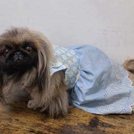 サマードレス/millacra / 愛犬のための犬服、ペット服の型紙通販