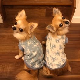 犬服ハンドメイド＊ぴんくハイジ*バックオープンベスト