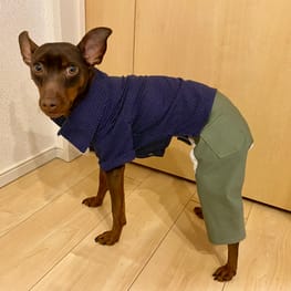 パンツ/サロペット/millacra / 愛犬のための犬服、ペット服の型紙通販