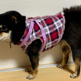 ハーネスウェア/millacra / 愛犬のための犬服、ペット服の型紙