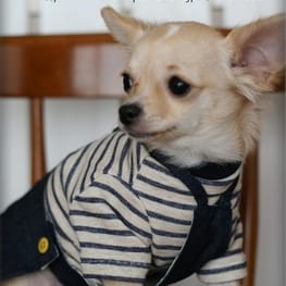 tamaさんのドッグスリング作品 / 愛犬のための犬服、ペット服の型紙 ...