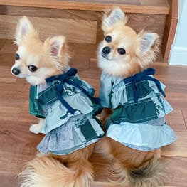 犬服のハンドメイド作品-みんなのかわいい手作り犬服 / 愛犬のための犬