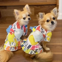 スモック/チュニック/millacra / 愛犬のための犬服、ペット服の型紙 