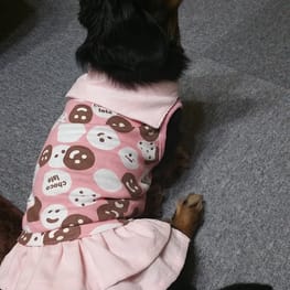 犬服のハンドメイド作品 - みんなのかわいい手作り犬服