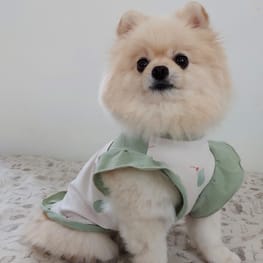 犬服のハンドメイド作品-みんなのかわいい手作り犬服 / 愛犬のための犬服、ペット服の型紙通販・作り方・教室 milla milla