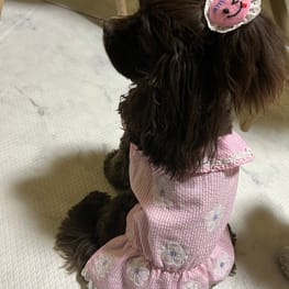 みんなのかわいい手作り犬服