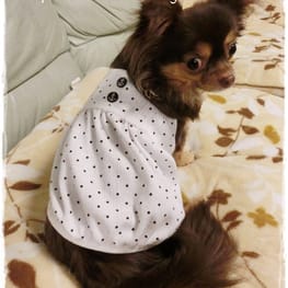 キャミソール/millacra / 愛犬のための犬服、ペット服の型紙通販