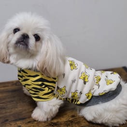 ベーシックラグランtシャツ Millacra 愛犬のための犬服 ペット服の型紙通販 作り方 教室 Milla Milla