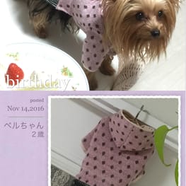 カバーオール(つなぎ)/millacra / 愛犬のための犬服、ペット服の型紙通販・作り方・教室 milla milla