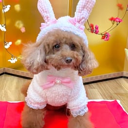 犬服 のんびりうさぎワンピース ハンドメイドＬ→1950円 - 犬用品