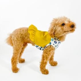 愛犬のための犬服、ペット服の型紙通販・作り方・教室 milla milla
