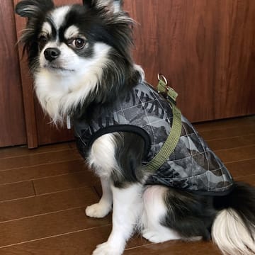 愛犬のための犬服、ペット服の型紙通販・作り方・教室 milla milla