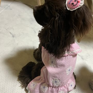 愛犬のための犬服、ペット服の型紙通販・作り方・教室 milla milla