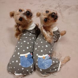 犬服のハンドメイド作品 みんなのかわいい手作り犬服 愛犬のための犬服 ペット服の型紙通販 作り方 教室 Milla Milla