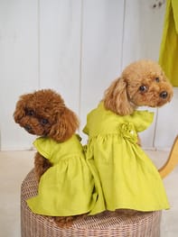 サマードレス Millacra 愛犬のための犬服 ペット服の型紙通販 作り方 教室 Milla Milla