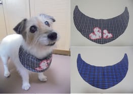 無料クールバンダナ Millacra 愛犬のための犬服 ペット服の型紙通販 作り方 教室 Milla Milla