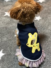 無料の犬服型紙 作り方ダウンロード タンクトップ 愛犬のための犬服 ペット服の型紙通販 作り方 教室 Milla Milla