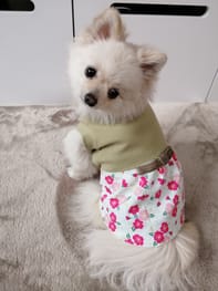 ワンピース Millacra 愛犬のための犬服 ペット服の型紙通販 作り方 教室 Milla Milla