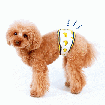 犬服型紙 愛犬のための犬服 ペット服の型紙通販 作り方 教室 Milla Milla ミラミラ