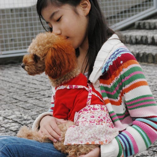 スカート サロペット 愛犬のための犬服 ペット服の型紙通販 作り方 教室 Milla Milla