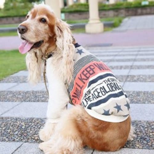 売れ筋ランキング 愛犬のための犬服 ペット服の型紙通販 作り方 教室 Milla Milla ミラミラ