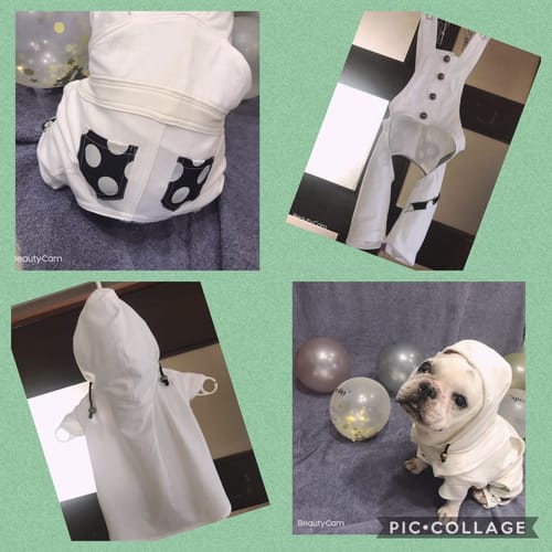 犬服リメイクコンテスト 投票 愛犬のための犬服 ペット服の型紙通販 作り方 教室 Milla Milla