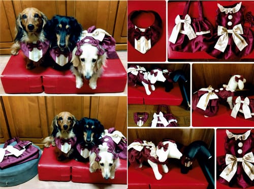 犬服リメイクコンテスト 投票 愛犬のための犬服 ペット服の型紙通販 作り方 教室 Milla Milla