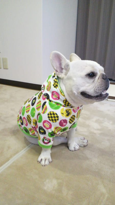 ぶん太さんのパーカー トレーナー 販売停止作品 愛犬のための犬服 ペット服の型紙通販 作り方 教室 Milla Milla