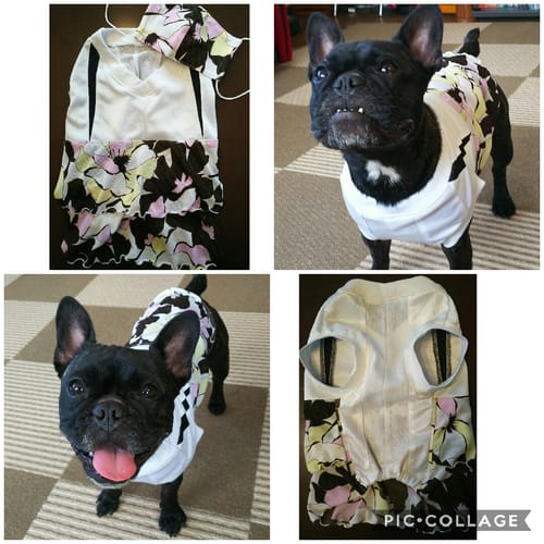 犬服リメイクコンテスト 投票 愛犬のための犬服 ペット服の型紙通販 作り方 教室 Milla Milla