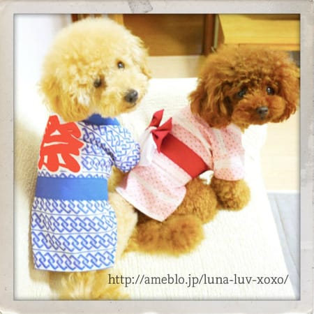 Kumiさんの浴衣作品 愛犬のための犬服 ペット服の型紙通販 作り方 教室 Milla Milla