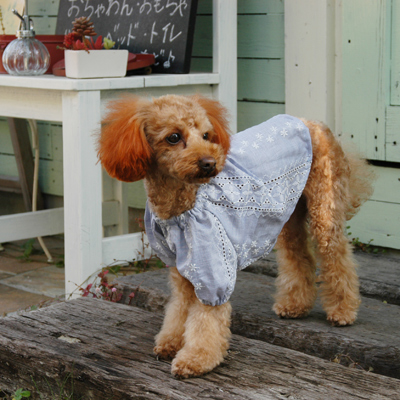 スモック/チュニック / 愛犬のための犬服、ペット服の型紙通販・作り方 ...