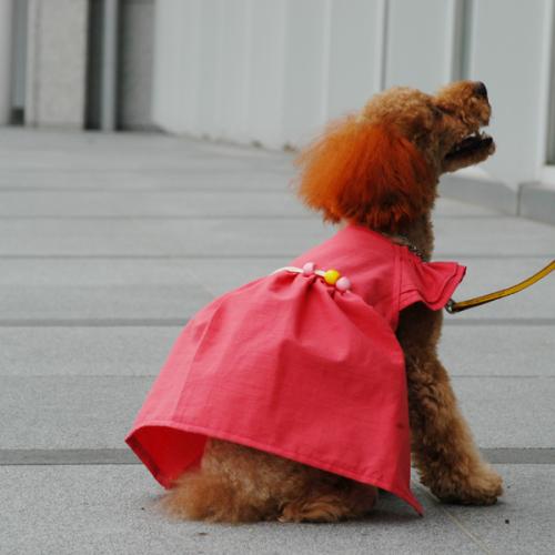 サマードレス / 愛犬のための犬服、ペット服の型紙通販・作り方・教室