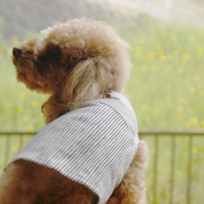 手縫いで作る切り替えタンクトップ / 愛犬のための犬服、ペット服の